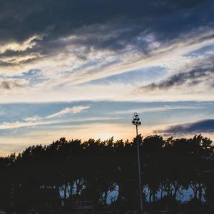 亲近相尾中文版免费高清
